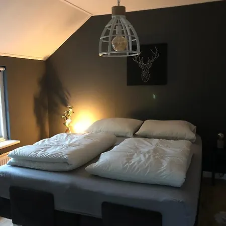 Veluws Rietgedekt Bungalow בית נופש ארמלו