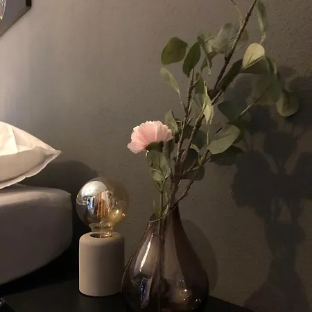 Veluws Rietgedekt Bungalow ארמלו