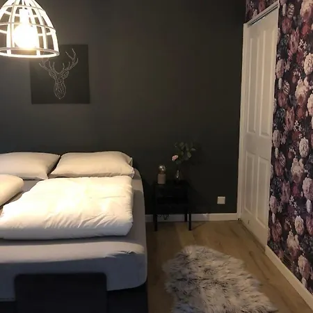 בית נופש Veluws Rietgedekt Bungalow
