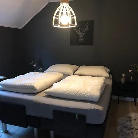 Veluws Rietgedekt Bungalow *